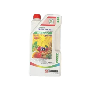 FRUIT ENERGY