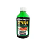 18 Cyper25