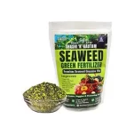 18 sea weed