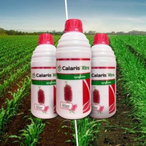 MESOTRIONE 2.27% w/w + ATRAZINE 22.7% w/w SC (CALARIS XTRA Techniques) MAIZE WEEDICIDES