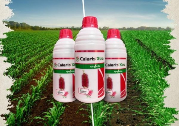 MESOTRIONE 2.27% w/w + ATRAZINE 22.7% w/w SC (CALARIS XTRA Techniques) MAIZE WEEDICIDES