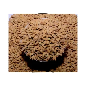 CR-1009 (பொன்மணி) விதை நெல்