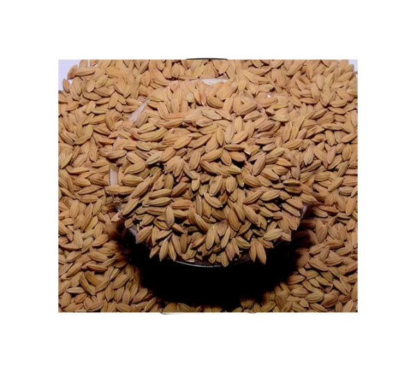 CR-1009 (பொன்மணி) விதை நெல்