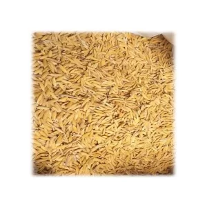 MP 3030 PADDY SEEDS 3KG PACK