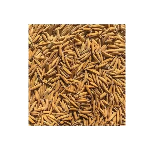 சம்பா நெல் ரகத்தில் இரண்டாம் மருந்துகள் (குலை நோய் ரகம்)