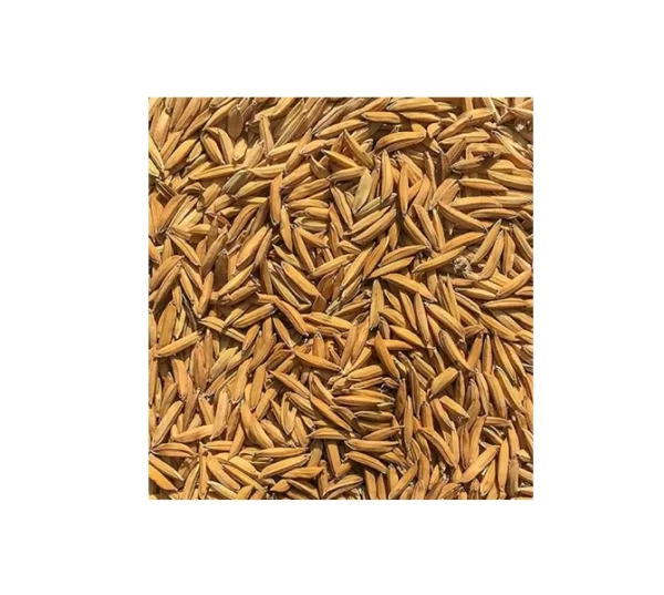 சம்பா நெல் ரகத்தில் இரண்டாம் மருந்துகள் (குலை நோய் ரகம்)