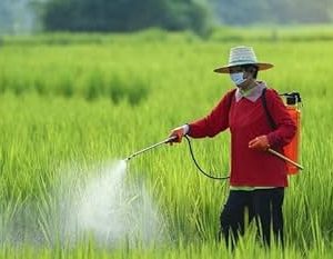 Second Spray இரண்டாம் மருந்துகள்
