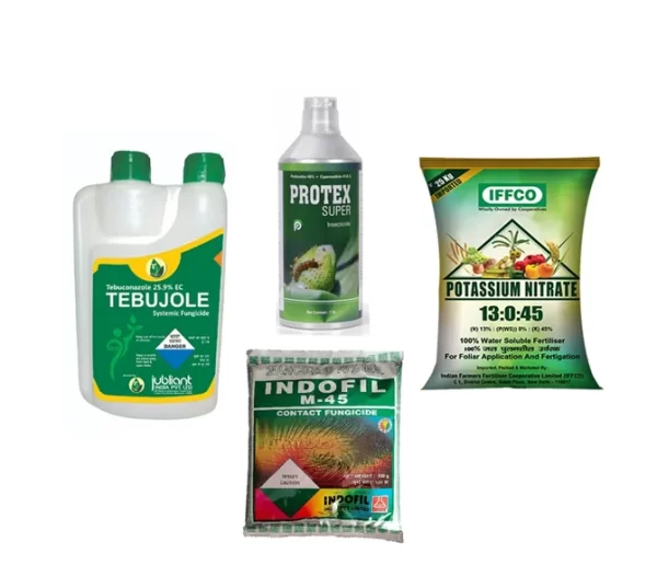 Spring + Protex super + Indofil M-45 + 13:0:45