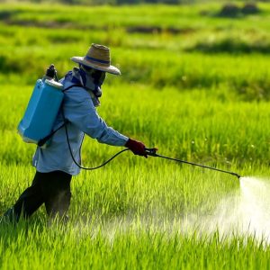 LAMBDA + FIPRONIL+ SULPHER  + HUMIC PLUS (Fist Spray) குறுவை முதல் மருந்துகள்