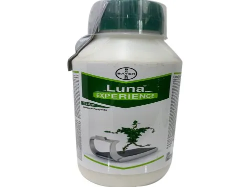 bayer-luna-experience-500x500