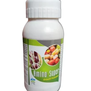 AMINO ACID