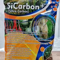 BIO CARBON NUTRIANS