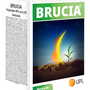 BRUCIA MAIZE HERBICIDES (Tolpyralate 40% (W/V) SC)